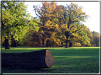 foto Parco Karlsaue in Autunno